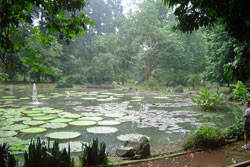 Parks Indonesien
