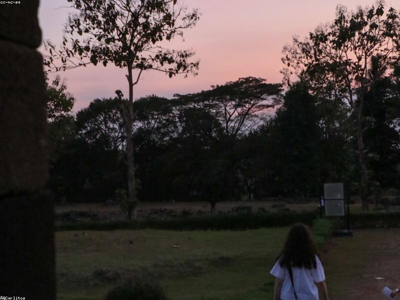 Java & Yogyakarta